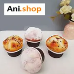 مگنت سینی تنقلات