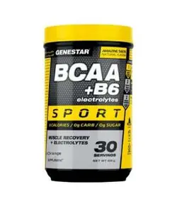 بی سی ای ای BCAA b۶   ژن استار GENE STAR