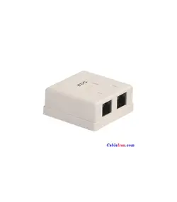 تجهیزات شبکه کیستون باگ BUG دو پورت روکار کامل