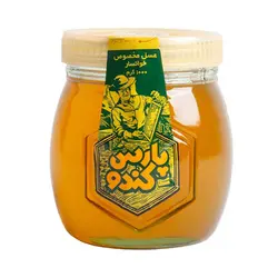 عسل پارس کندو - 1000 گرم - فروشگاه اینترنتی کالا 35
