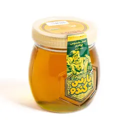 عسل پارس کندو - 1000 گرم - فروشگاه اینترنتی کالا 35