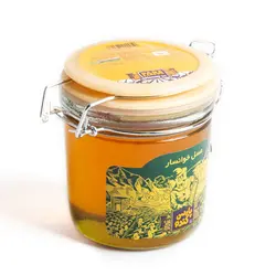 عسل پارس کندو - 600 گرم - فروشگاه اینترنتی کالا 35