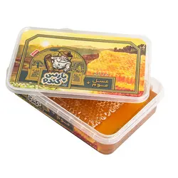 عسل با موم پارس کندو - 1000 گرم | فروشگاه اینترنتی کالا35