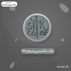 رنگ گریم _ خاکستری روشن 42