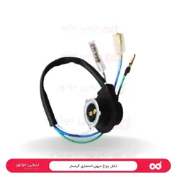 ذغال چراغ میهن انحصاری گرمسار