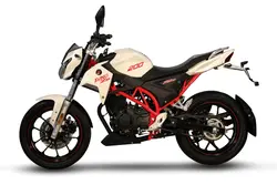 موتورسیکلت DINO ZII 200 - استریت - دینو موتور - دیجی موتور