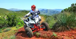 چهار چرخ ۲۵۰ سی سی - همتاز موتور - دیجی موتور