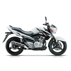 موتورسیکلت INAZUMA GW 250 ABS - تکتاز موتور - دیجی موتور