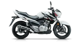 موتورسیکلت INAZUMA GW 250 - تکتاز موتور - دیجی موتور