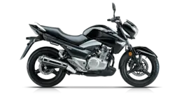 موتورسیکلت INAZUMA GW 250 - تکتاز موتور - دیجی موتور