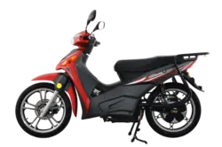 موتورسیکلت PISHTAZ EM - پیشتاز موتور توس - دیجی موتور