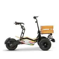 موتورسیکلت‎ ‎برقی‎ - MAD Truck‎کویر‎ ‎موتور - دیجی موتور