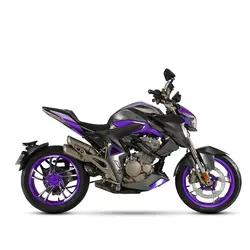 موتورسیکلت‎ ‎- Z4 249 R‎کویر‎ ‎موتور - دیجی موتور