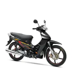 موتورسیکلت رادیسون ‎ ‎-S1 125 (Type 2)کویر‎ ‎موتور - دیجی موتور