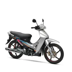 موتورسیکلت رادیسون ‎ ‎-S1 125 (Type 2)کویر‎ ‎موتور - دیجی موتور