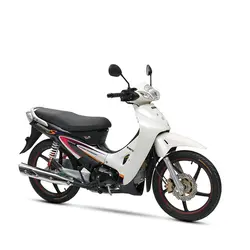 موتورسیکلت رادیسون ‎ ‎-S1 125 (Type 2)کویر‎ ‎موتور - دیجی موتور