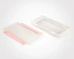 ظرف فریزری تکی لیمون