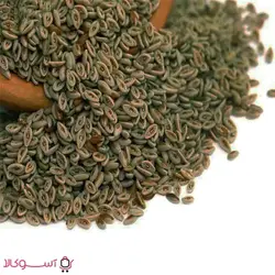 اسفرزه وزن 100 گرم