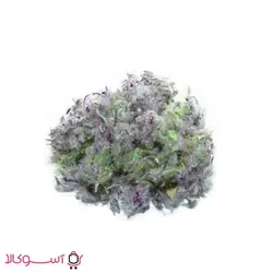 چای کوهی وزن 100 گرم