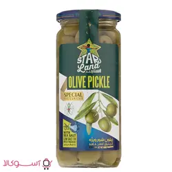 زیتون شور ویژه استارلند حجم 500 گرم