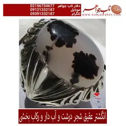 انگشتر عقیق شجر درشت و آب دار و رکاب بخشی کد 5342