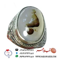عقیق سفید شجر کد:  392