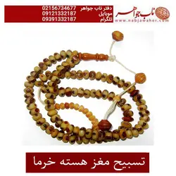 تسبیح صد و یک دانه هسته خرما