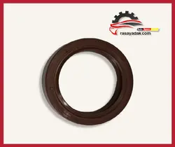 کاسه نمد پلوس آریو Z300 دستی - rasayadak