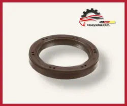 کاسه نمد پلوس برلیانس H300 دستی - rasayadak