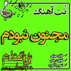 نت گیتار مجنون نبودم