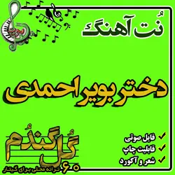نت گیتار دختر بویر احمدی