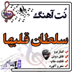 نت آهنگ سلطان قلبها (گیتار پرو)