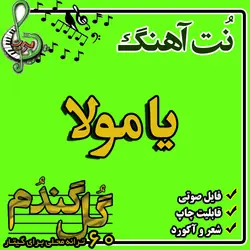 نت گیتار یا مولا