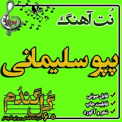 نت گیتار پپو سلیمانی