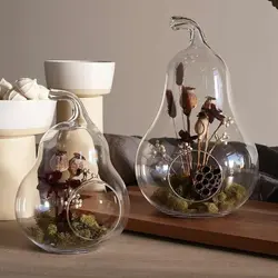 گلدان تراریوم برند ALEGRE GLASS