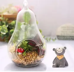 گلدان تراریوم برند ALEGRE GLASS