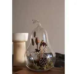 گلدان تراریوم برند ALEGRE GLASS