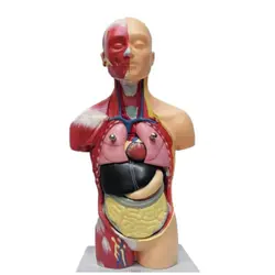 مولاژ 8 قسمتی