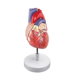 مولاژ قلب