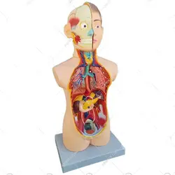 مولاژ9قسمتی