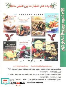 کتاب دنیای هنر انواع کباب و پیتزاهای ساده و سریع  - اثر دانا هی - نسخه اصلی