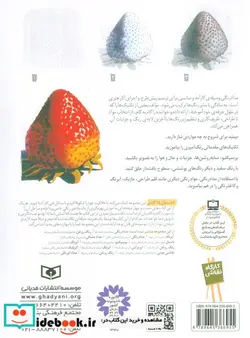 کتاب کارگاه نقاشی مداد رنگی  - اثر ورل وایز - نسخه اصلی