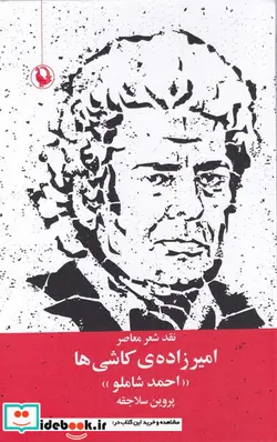 کتاب امیرزاده کاشی ها  - اثر پروین سلاجقه - نسخه اصلی