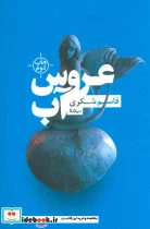 کتاب عروس آب - اثر قاسم شکری - نسخه اصلی