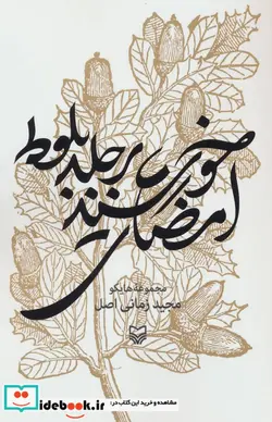 کتاب امضای خورشید بر جلد بلوط  - اثر مجید زمانی اصل - نسخه اصلی