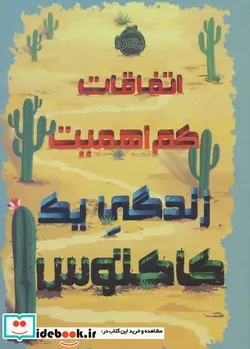 کتاب اتفاقات کم اهمیت  - اثر داستی بولینگ - نسخه اصلی