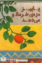 کتاب رمان نوجوان198  - اثر زهرا حیدری - نسخه اصلی