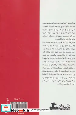 کتاب ماهی های زیر پل - اثر گلپر فصاحت - نسخه اصلی