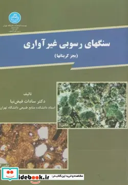 کتاب سنگ های رسوبی غیر آواری - اثر دکتر سادات فیض نیا - نسخه اصلی