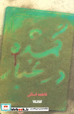 کتاب گمشده در غبار - اثر فاطمه استکی - نسخه اصلی